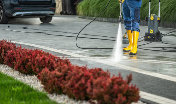Best Sidewalk and Walkway Cleaning  in Jersey Village, TX
